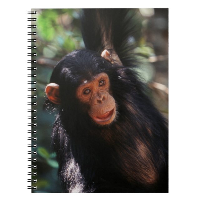 Caderno Espiral Jovem Chimpanzé (Frente)