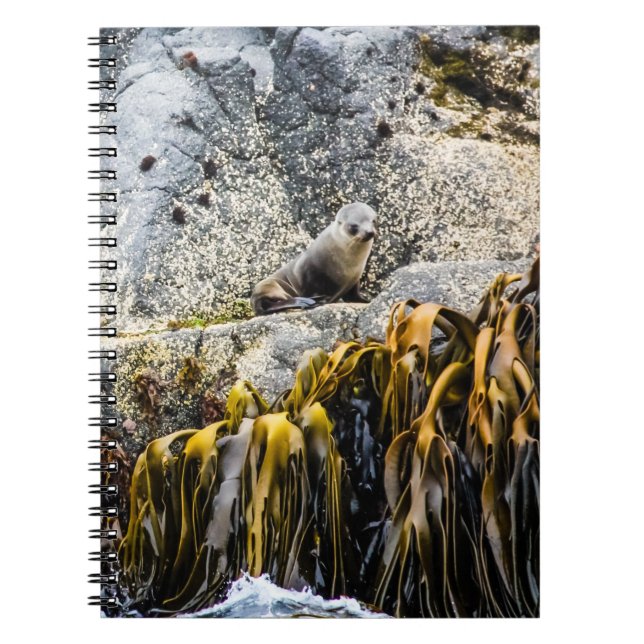 Caderno Espiral Jovem Selo De Peles Na Rocha (Frente)