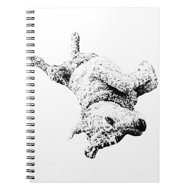 Caderno Espiral Joy em cada linha (Frente)