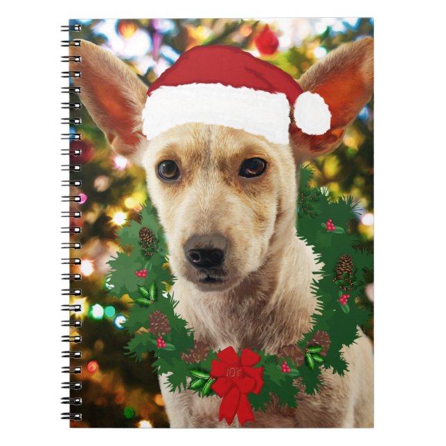 Caderno Espiral Joy para o Puppy (Frente)