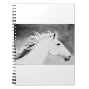 Caderno Espiral Juba de LIN26BW no Wind.tif