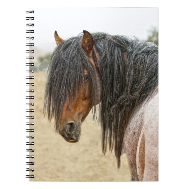 Caderno Espiral Juba do cavalo (Frente)