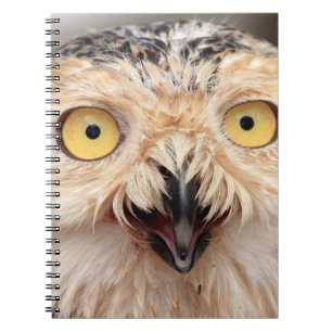 Caderno Espiral Juvenil Snowy Owl