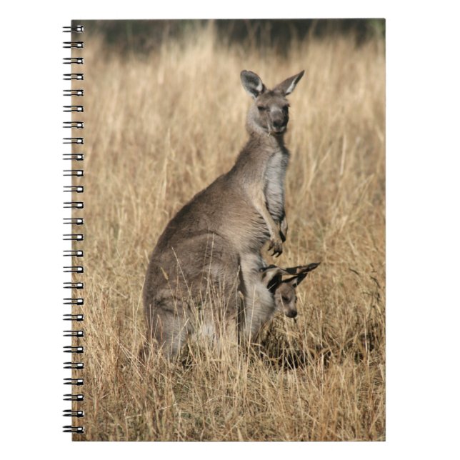 Caderno Espiral Kangaroo com Bebê Joey em Pouch (Frente)