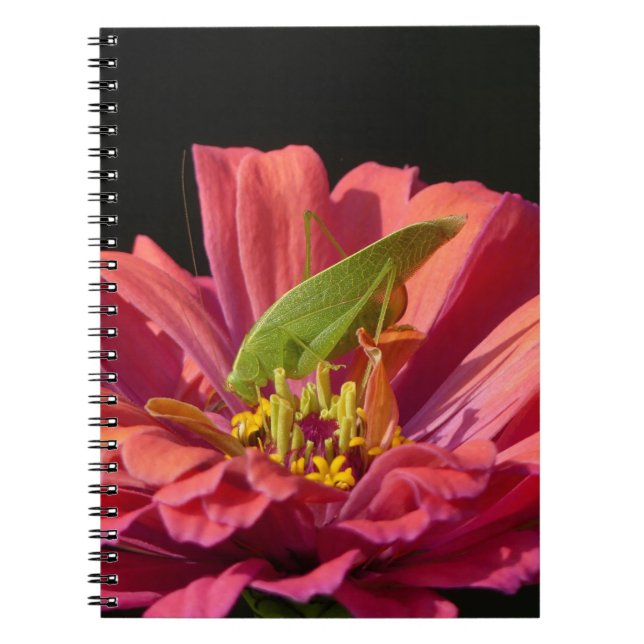 Caderno Espiral Katydid na Zinnia (Frente)