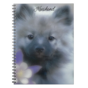 Caderno Espiral Keeshond e Columbine - Fotografia de Cães