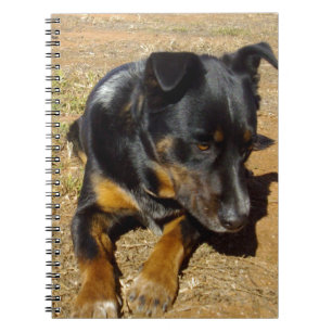Caderno Espiral Kelpie_Fazenda_Life,_
