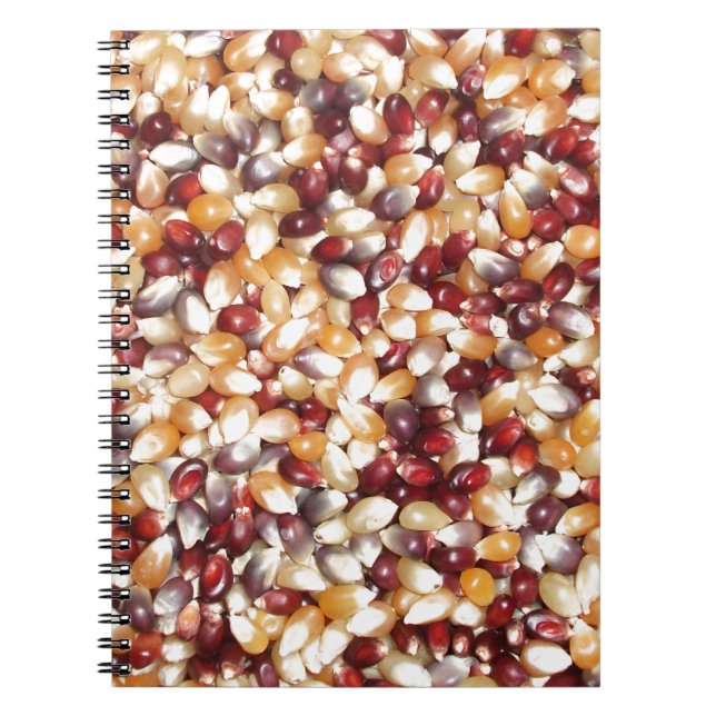 Caderno Espiral Kernels de pipoca colorida (Frente)