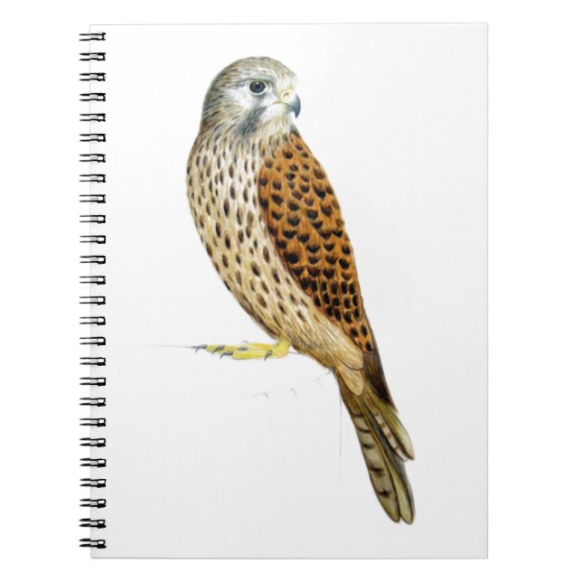 Caderno Espiral Kestrel 2011 (Frente)