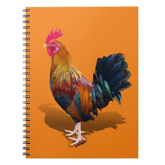 Caderno Espiral Key West - Rooster Gypsy (Frente)