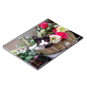 Caderno Espiral Kitten in a Basket