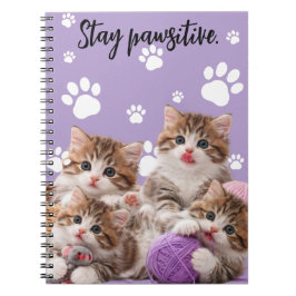 Caderno Espiral Kitten Stay Pawsitive Notebook