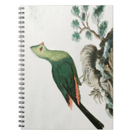 Caderno Espiral Knysna turaco | Animação de aves verdes |