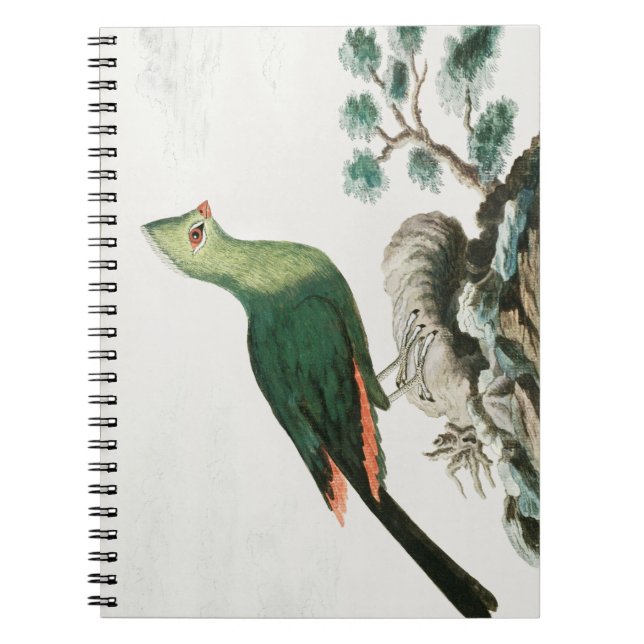 Caderno Espiral Knysna turaco | Animação de aves verdes | (Frente)