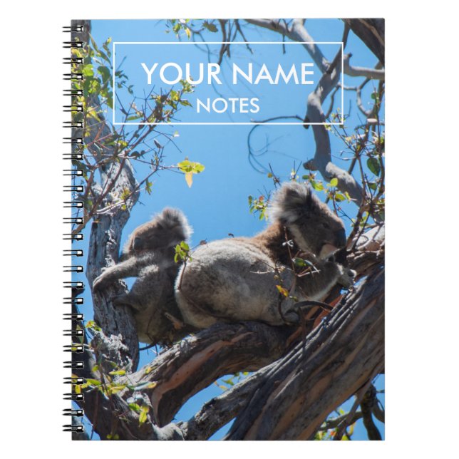 Caderno Espiral Koalas Personalizado (Frente)