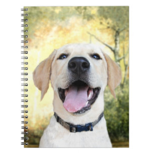 Caderno Espiral Laboratório amarelo feliz