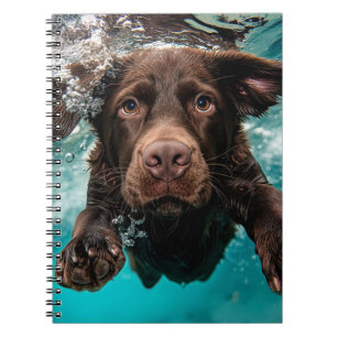 Caderno Espiral Labrador Chocolate Brincalhão Nadando Submerso