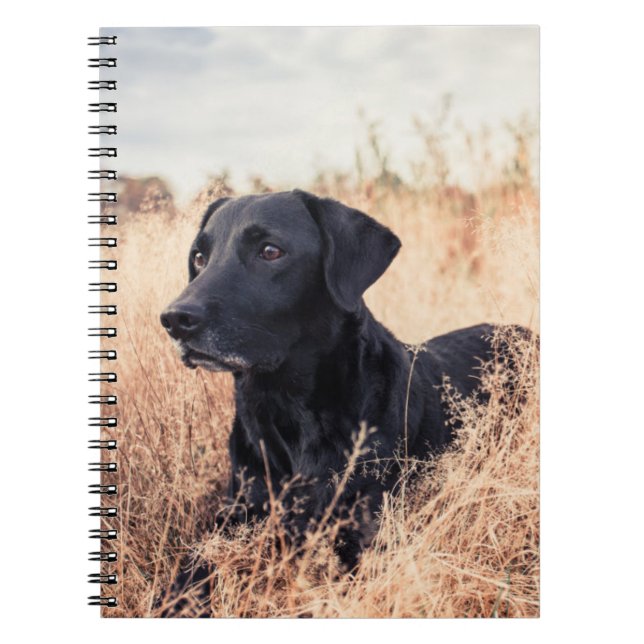 Caderno Espiral Labrador Negro De Grama Seca (Frente)