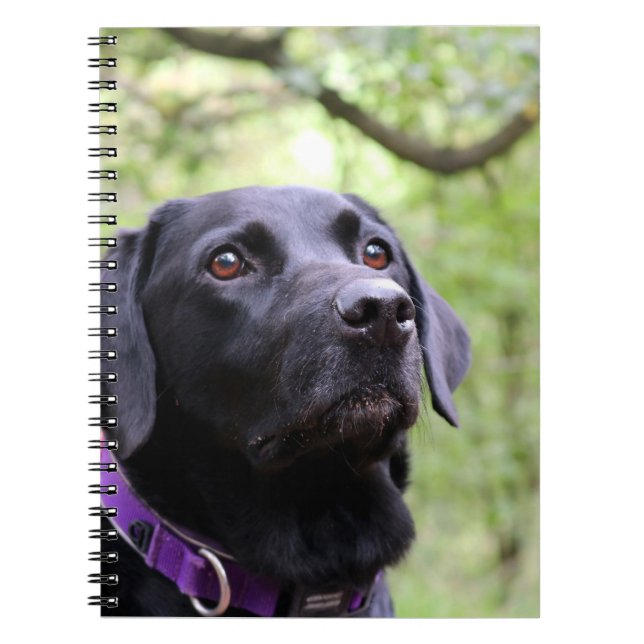 Caderno Espiral Labrador preto (Frente)