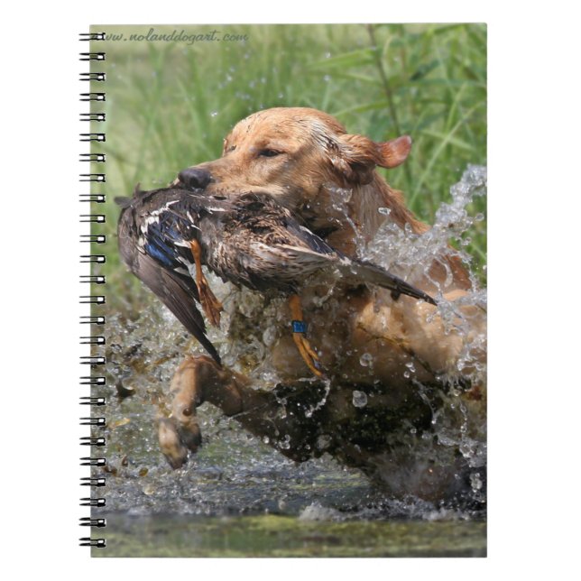 Caderno Espiral Labrador retriever amarelo com pato (Frente)