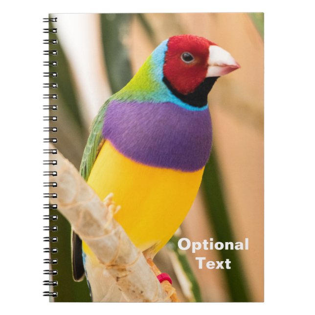 Caderno Espiral Lady Gouldian Finch (Frente)