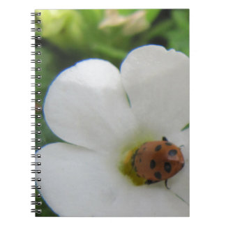Caderno Espiral Ladybug