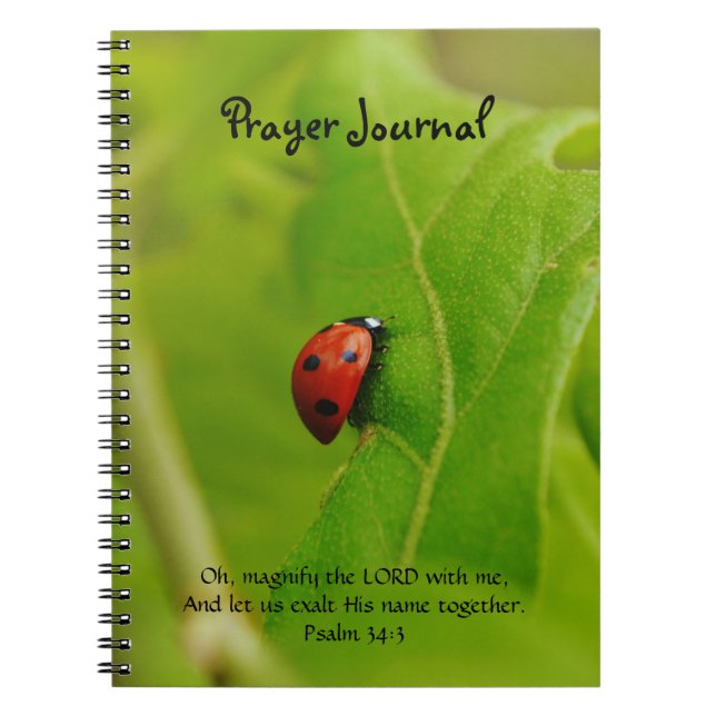 Caderno Espiral Ladybug deixa Diário de oração de fé-fé (Frente)