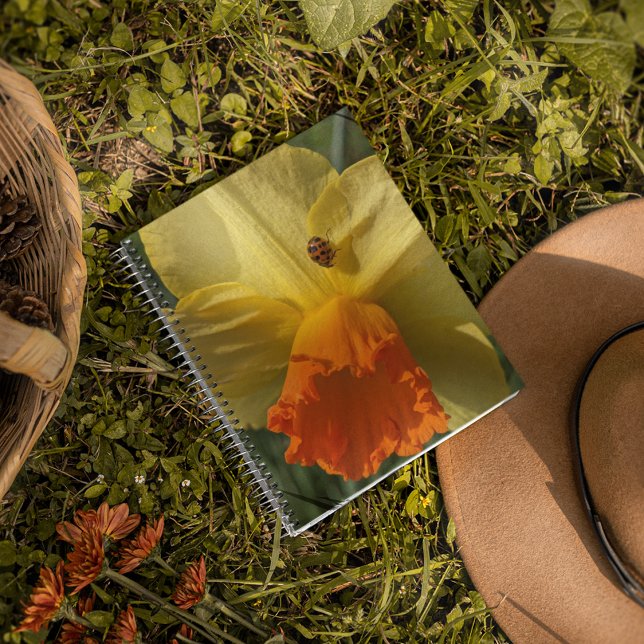 Caderno Espiral Ladybug no Yellow Daffodil Floral (In Situ)