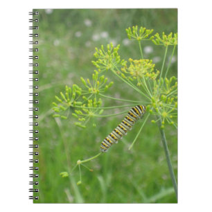 Caderno Espiral Lagarta