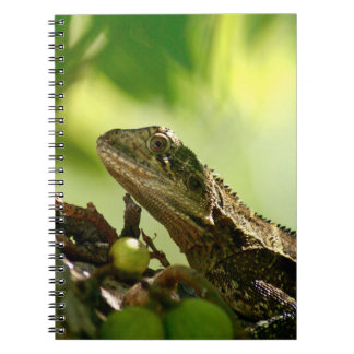 Caderno Espiral Lagarto australiano que esconde entre as folhas,