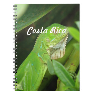 Caderno Espiral Lagarto de Rican da costela