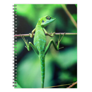 Caderno Espiral lagarto, réptil, criatura