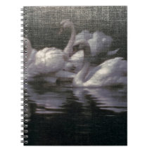 Lago de Cisnes ao Luar