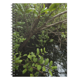 Caderno Espiral Lagoa tropical de sal