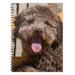 Caderno Espiral Lagotto Romagnolo Deitado Em Uma Bancada De Madeir
