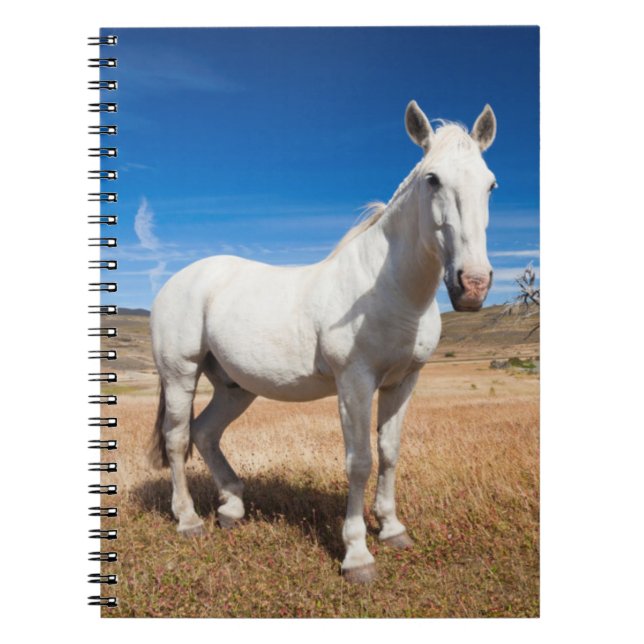 Caderno Espiral Laguna Azul, paisagem com cavalos (Frente)