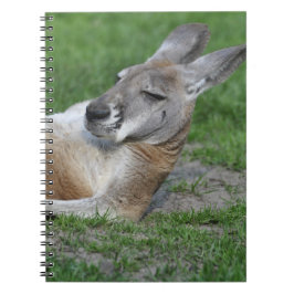 Caderno Espiral Laid-back Kangaroo