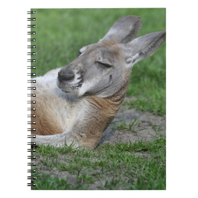 Caderno Espiral Laid-back Kangaroo (Frente)