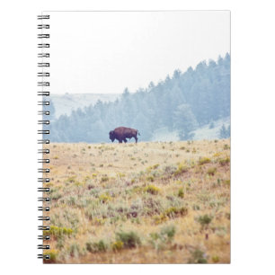 Caderno Espiral Lamar