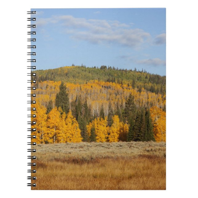 Caderno Espiral Lambert Hollow, árvores de álamo (Frente)