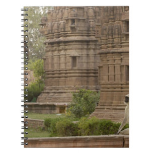 Caderno Espiral Langures de Hanuman ou Langur cinzento, comum ou d