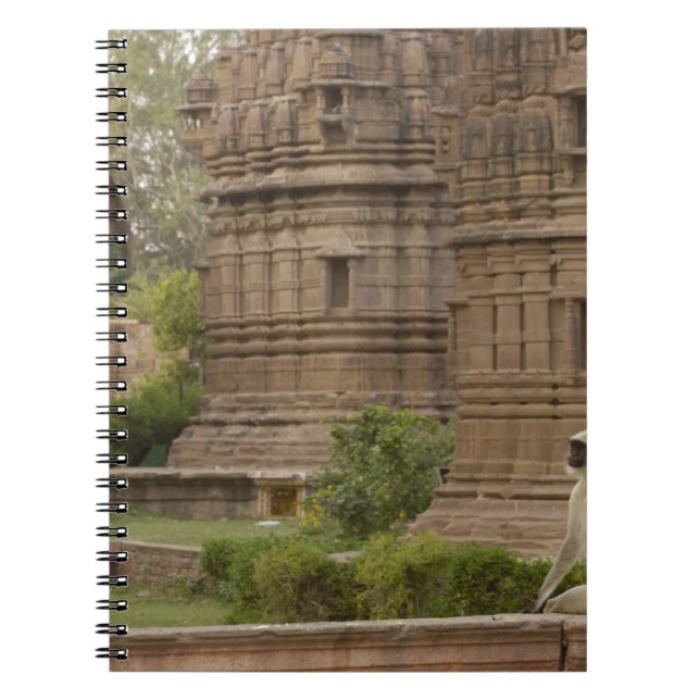 Caderno Espiral Langures de Hanuman ou Langur cinzento, comum ou d (Frente)