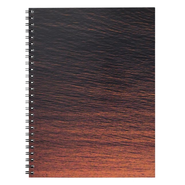 Caderno Espiral Laranja (Frente)
