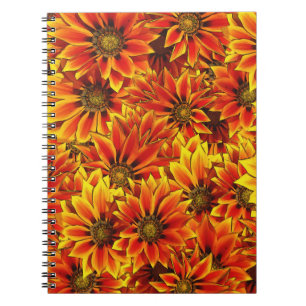 Caderno Espiral Laranja