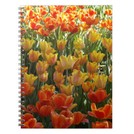 Caderno Espiral Laranja-&-Amarelo-Tulips.jpg