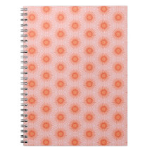 Laranja Brilhante e Rosa Pêssego