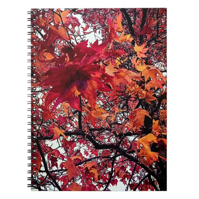 Caderno Espiral Laranja e folhas vermelhas (Frente)