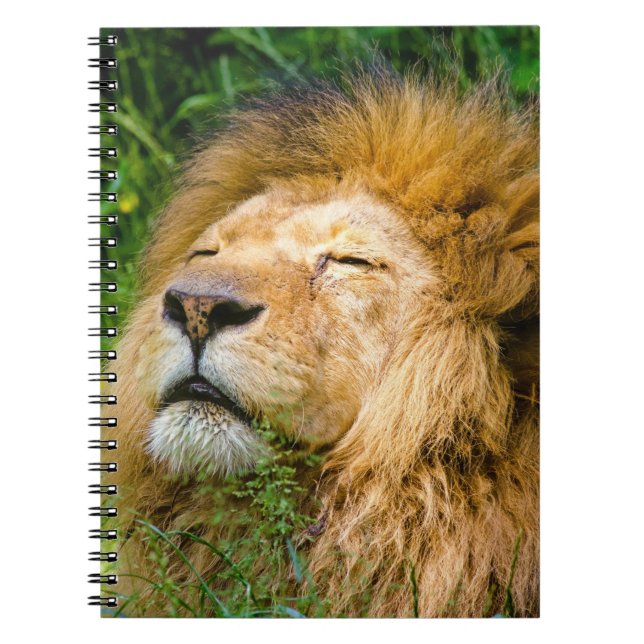 Caderno Espiral Leão (Frente)
