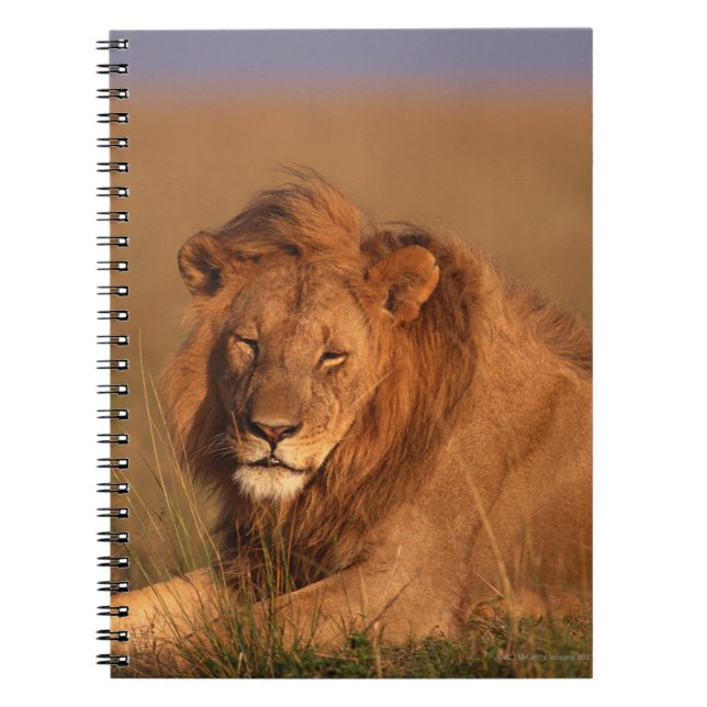 Caderno Espiral Leão 8 (Frente)