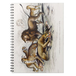 Caderno Espiral Leão Asiático, Leoa, Tigre de Bengala, Leopardo